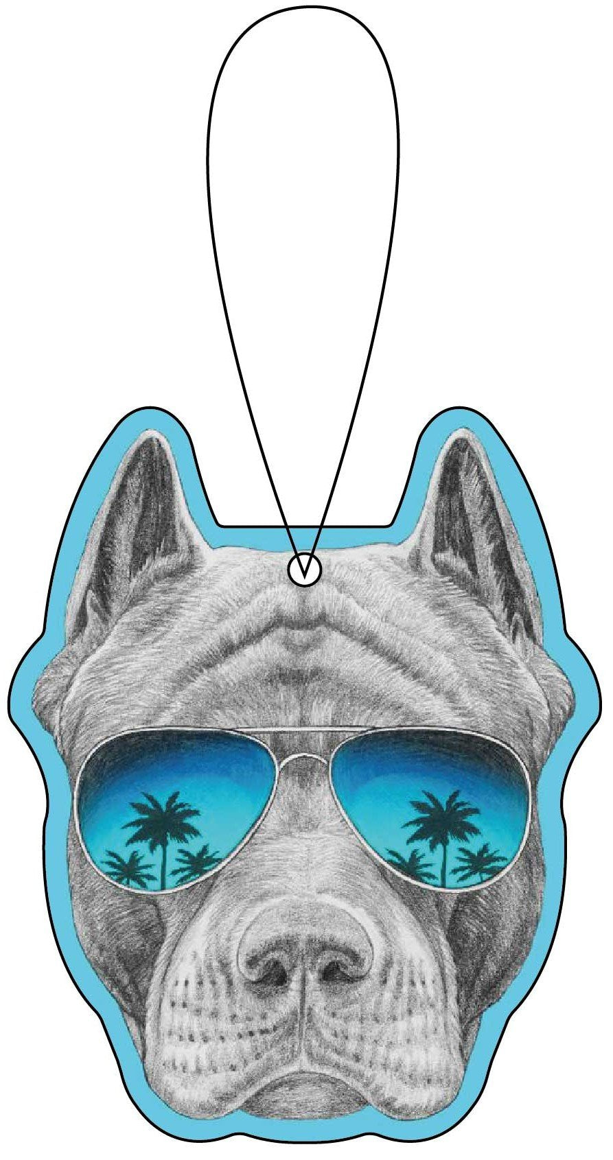 A Drink in Paradise 12 Pack