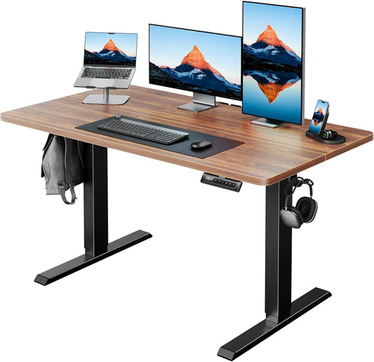 48" X 24" Electric Standing Desk Adjustable Height, 4 Memory Height